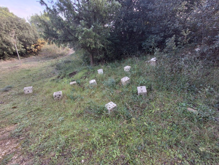 Qui veut jouer aux dés ?